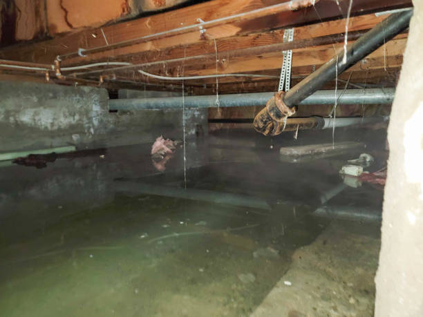 Best Emergency water extraction  in Corning, NY