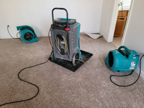 Best Water damage contractors near me  in Corning, NY