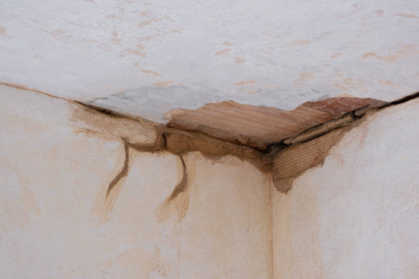 Best Sewage cleanup and water damage restoration  in Corning, NY