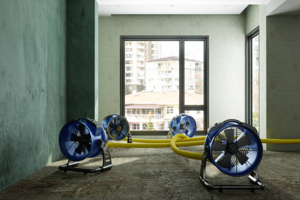 Best Water damage cleanup near me  in Corning, NY