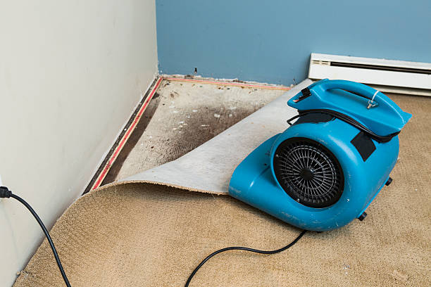 Best Basement water damage restoration  in Corning, NY